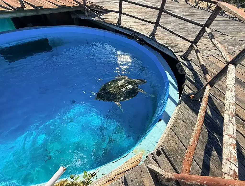 Abandono no Tamar de Regência: turistas denunciam estrutura em ruínas