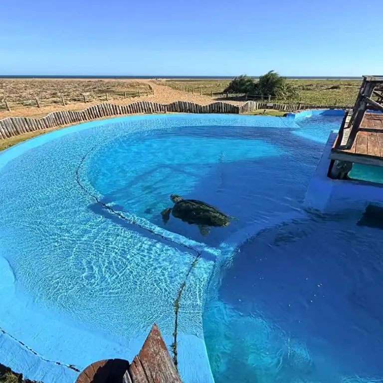 Abandono no Tamar de Regência: turistas denunciam estrutura em ruínas