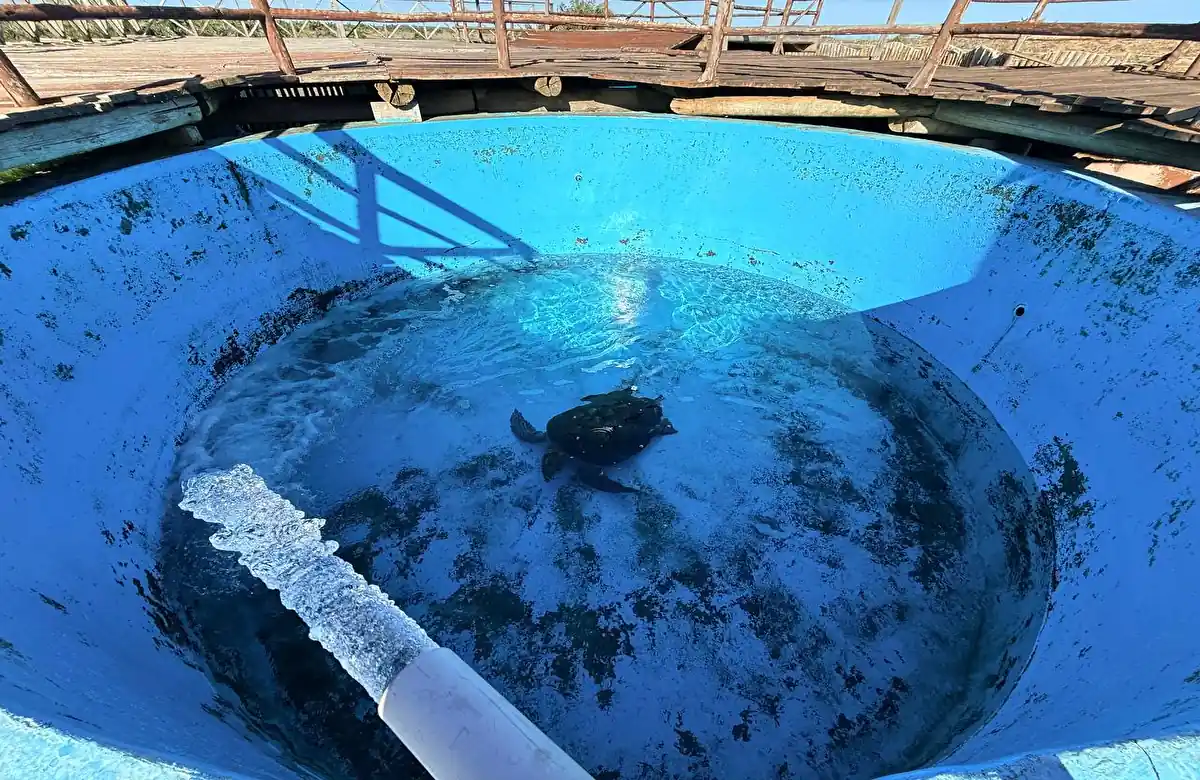 Abandono no Tamar de Regência: turistas denunciam estrutura em ruínas