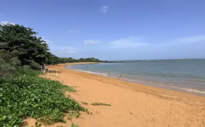 As 10 Melhores Praias do Espírito Santo para Curtir o Verão 2026 12 As 10 Melhores Praias do Espírito Santo para Curtir o Verão 2026