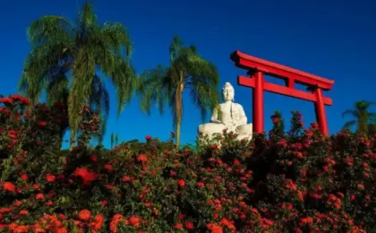 Buda de Ibiraçu: Maior Estátua da América Latina no ES