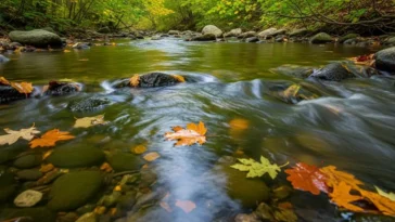 Cachoeira do Oito no leito do Rio Pancas em Colatina, ES