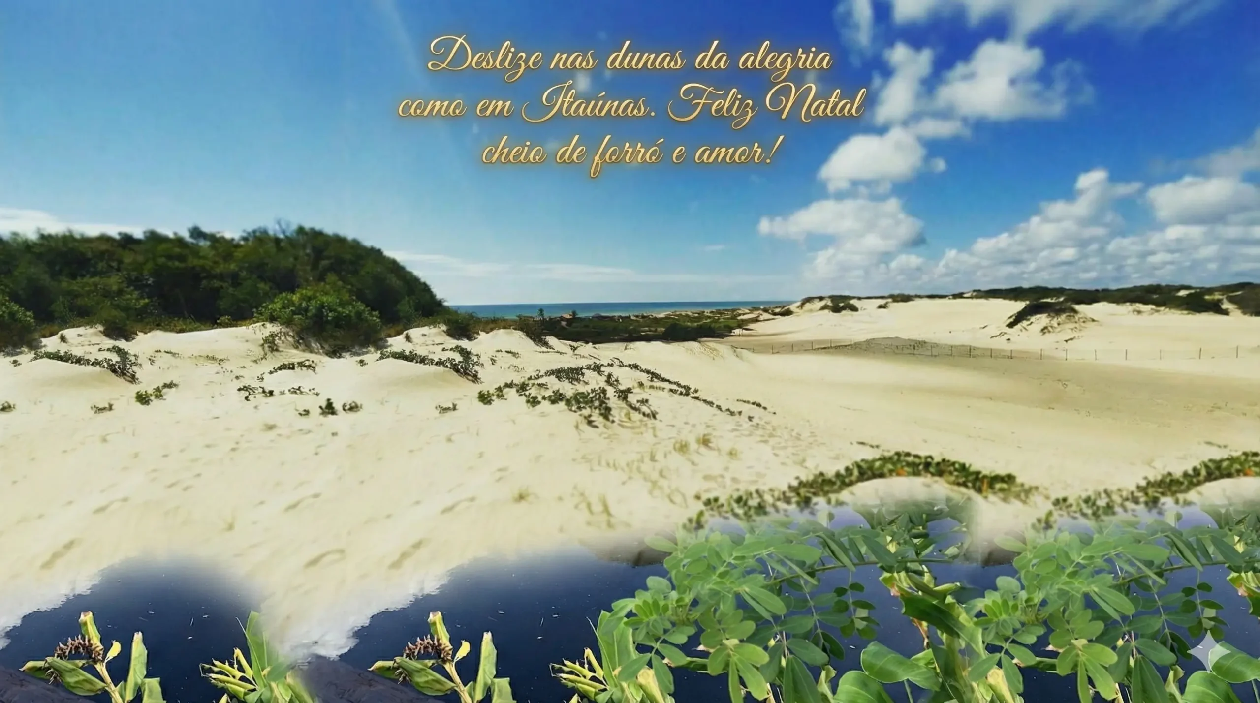 Dunas de Itaúnas (Conceição da Barra):