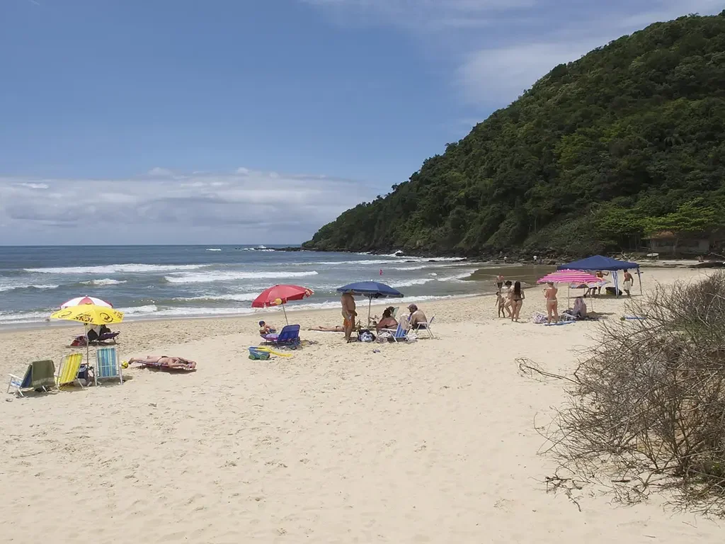 Praia Brava Itajaí 2026 Obras, Surf e Gastronomia Top Author Otávio Nogueira