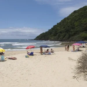 Praia Brava Itajaí 2026 Obras, Surf e Gastronomia Top Author Otávio Nogueira