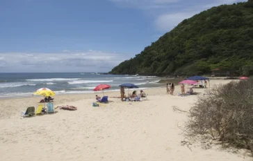 Praia Brava Itajaí 2026 Obras, Surf e Gastronomia Top Author Otávio Nogueira