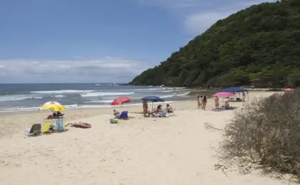 Praia Brava Itajaí 2026 Obras, Surf e Gastronomia Top Author Otávio Nogueira