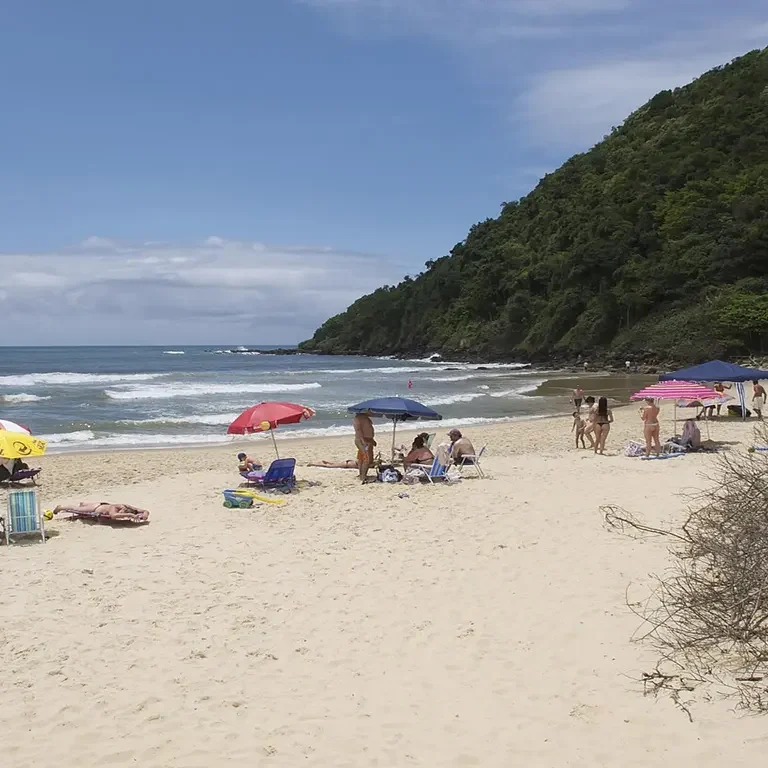 Praia Brava Itajaí 2026 Obras, Surf e Gastronomia Top Author Otávio Nogueira