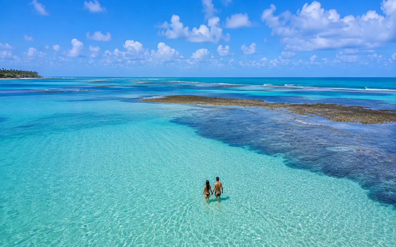 praias de Japaratinga em Alagoas com coqueiros e mar claro