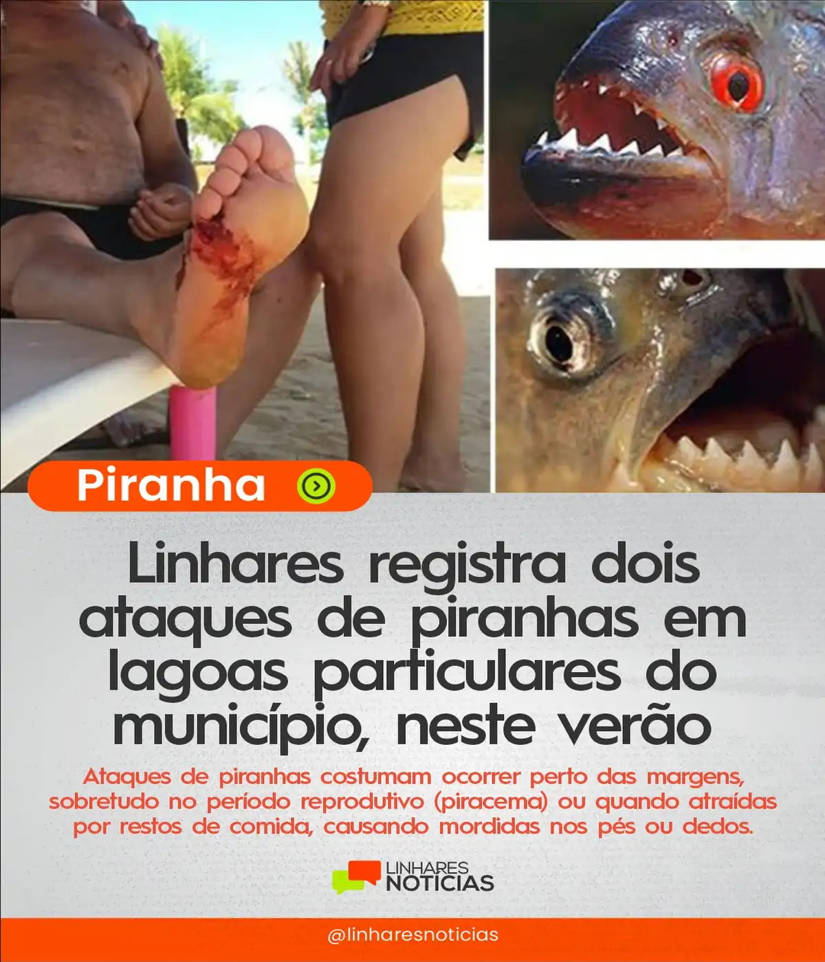 "Senti a mordida na hora": Banhistas relatam ataques de peixes na Lagoa Nova