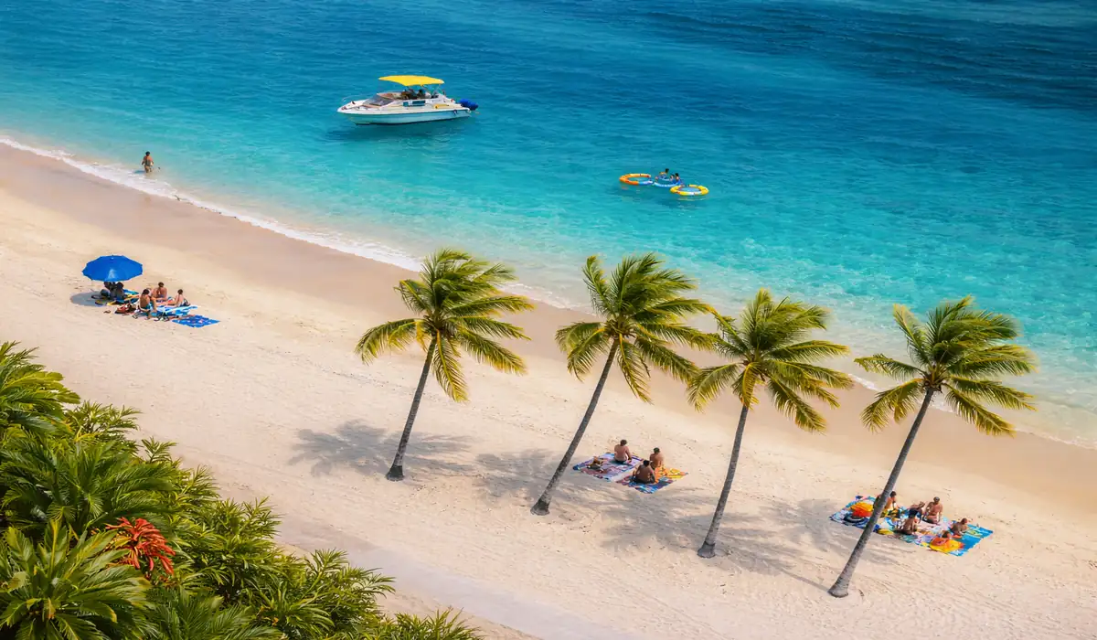Vai para o Havaí? Veja o que mudou em Maui e as novas exigências para turistas 18 Vista panorâmica da costa de Maui, Havaí, mostrando o contraste entre o mar azul turquesa, rochas vulcânicas e a vegetação tropical.