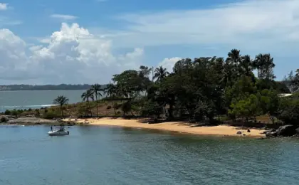 Ilha da Baleia em Vila Velha: A Verdade Sobre a Famosa "Ilha da Xuxa" 10 Vista aérea da Ilha da Baleia, popularmente conhecida como Ilha da Xuxa, na Baía de Vitória, Espírito Santo.