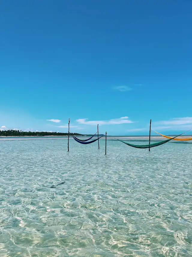 melhores praias alagoas roteiro 2026 maragogi milagres 7