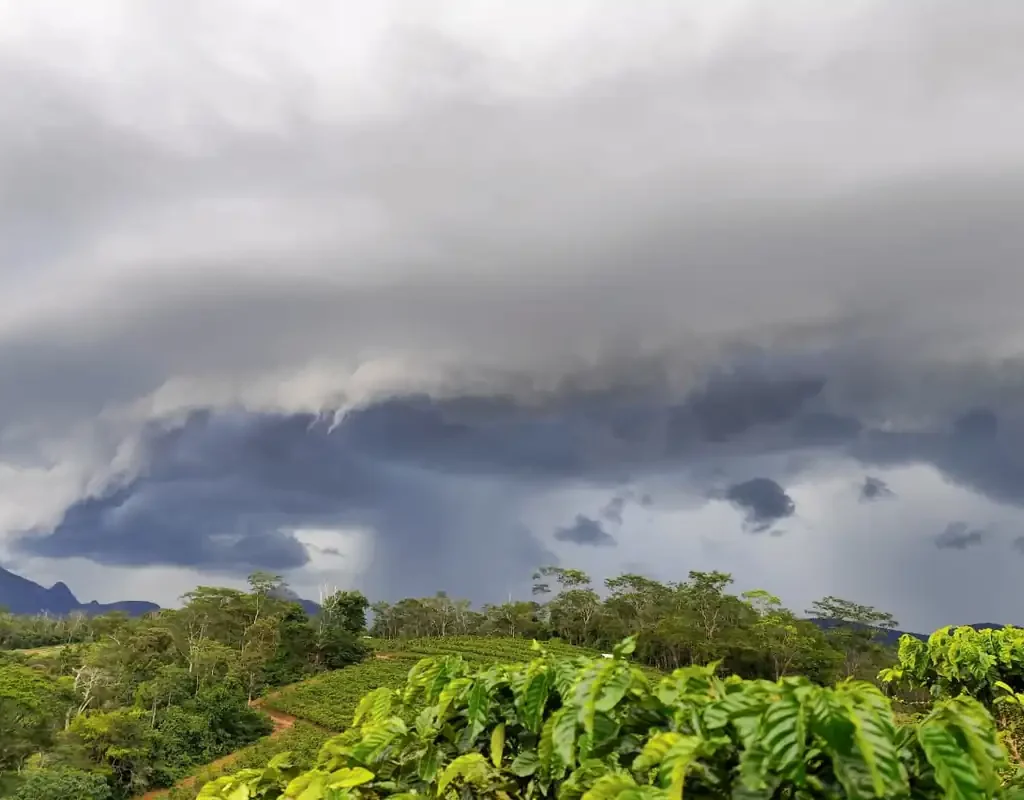 Nuvem Prateleira (Shelf Cloud) escura e gigante sobre a vegetação em Afonso Cláudio, Espírito Santo, sinalizando temporal.