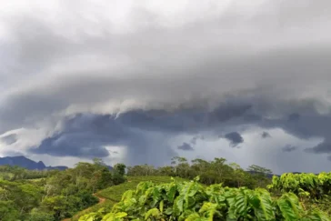 Nuvem Prateleira (Shelf Cloud) escura e gigante sobre a vegetação em Afonso Cláudio, Espírito Santo, sinalizando temporal.