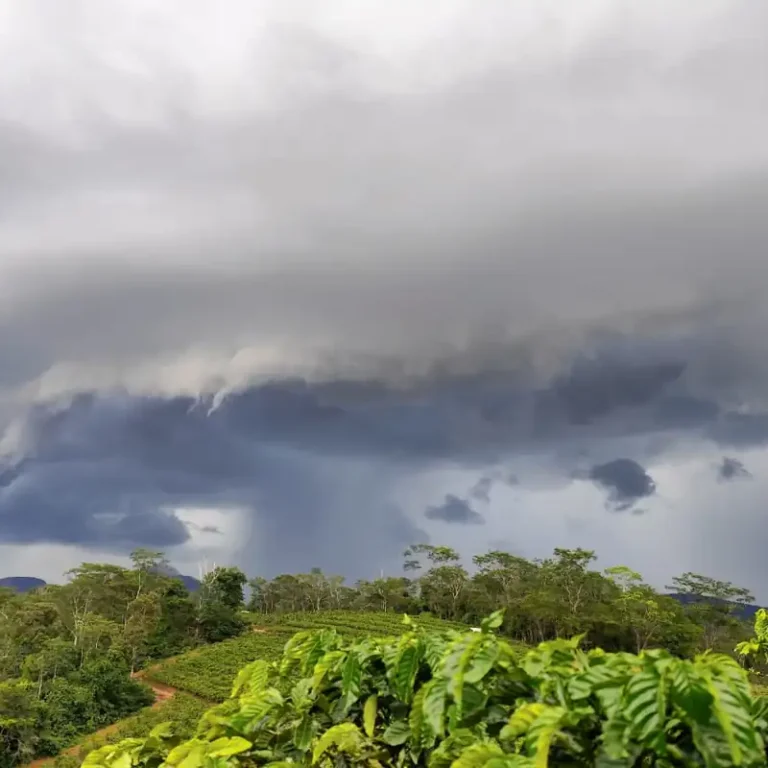 Nuvem Prateleira (Shelf Cloud) escura e gigante sobre a vegetação em Afonso Cláudio, Espírito Santo, sinalizando temporal.