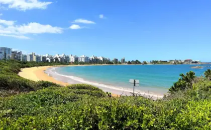 Praia urbana com mar calmo e azul-turquesa, faixa de areia clara em formato de enseada, vegetação verde em primeiro plano e prédios residenciais ao fundo sob céu azul.
