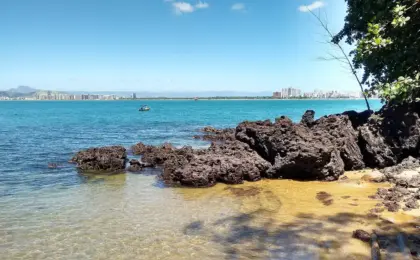 Águas cristalinas e corais na Praia Secreta de Camburi, em Vitória, em um dia de sol.