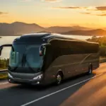 Gipsyy: o app de ônibus barato que promete facilitar viagens pelo Brasil