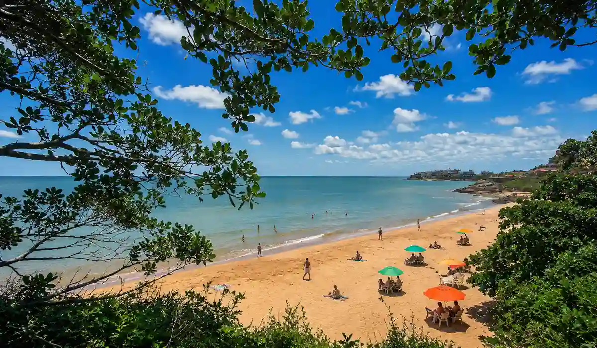 Iriri em Anchieta: guia direto para visitar