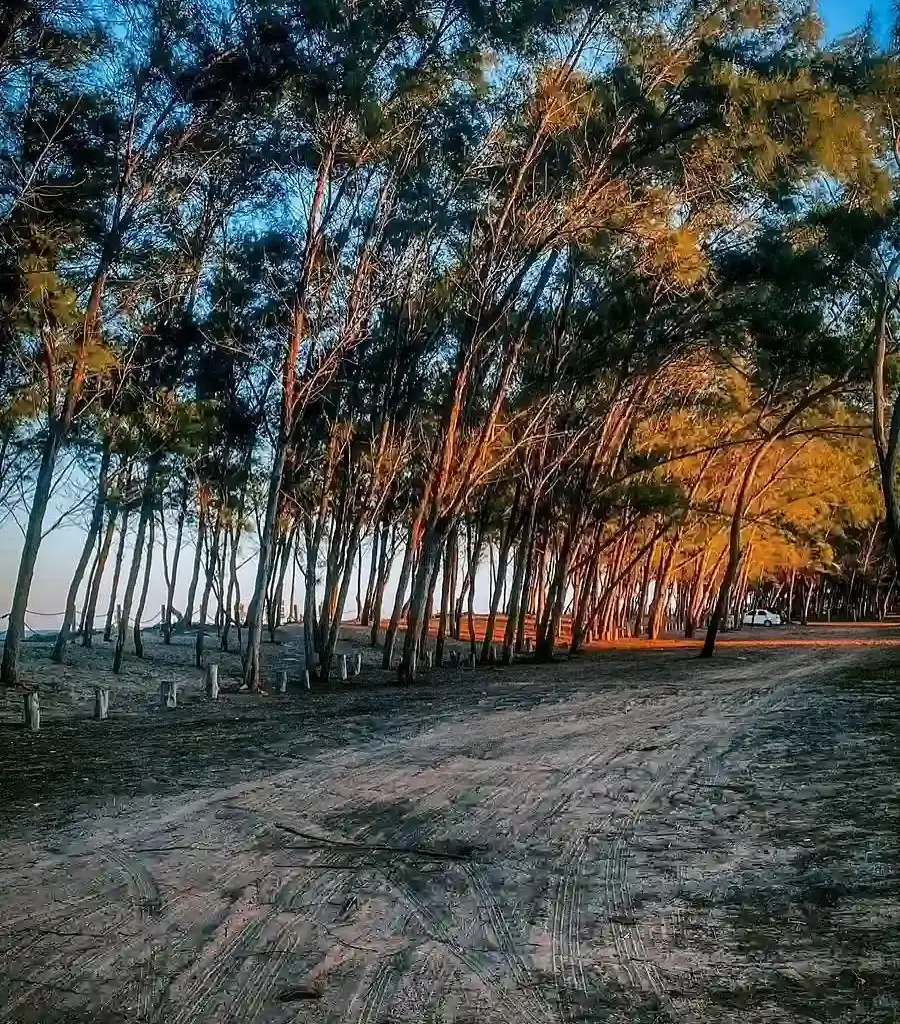 Ilha de Guriri em São Mateus
