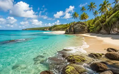 Conheça as 45 melhores praias no Brasil, com dicas de localização, como chegar, infraestrutura, melhor perfil de viagem e cuidados para visitar cada destino.