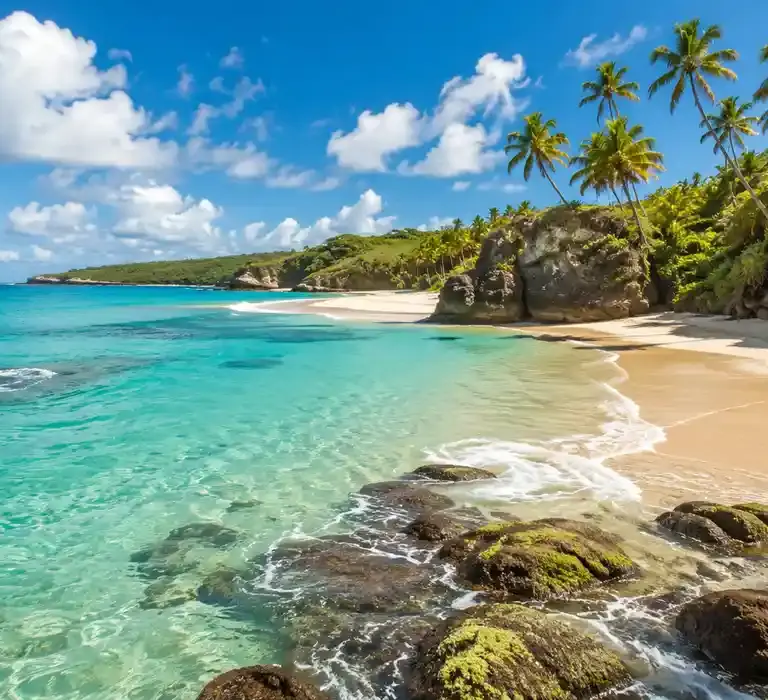 Conheça as 45 melhores praias no Brasil, com dicas de localização, como chegar, infraestrutura, melhor perfil de viagem e cuidados para visitar cada destino.