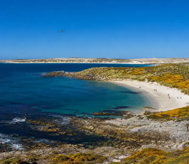 As Ilhas Malvinas (ou Ilhas Falkland,