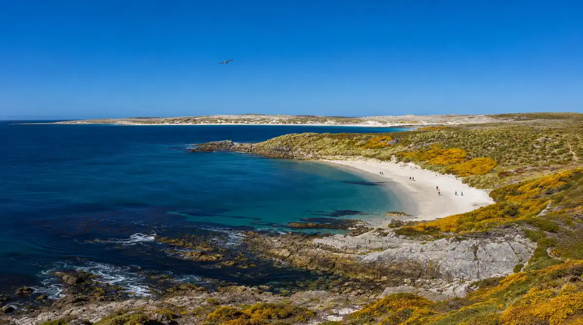 As Ilhas Malvinas ou Ilhas Falkland no Atlântico Sul