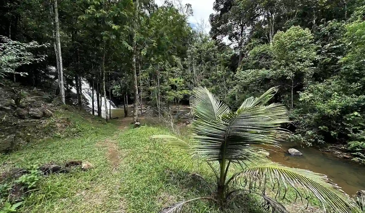 Área natural ao redor da Cachoeira do Turco em Guarapari