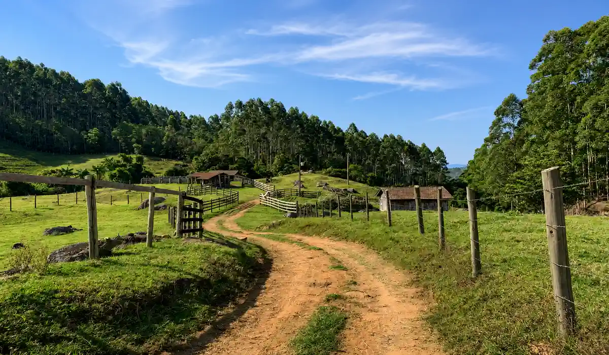 Cruzeiro do Forno Grande: trilha e como chegar em Castelo