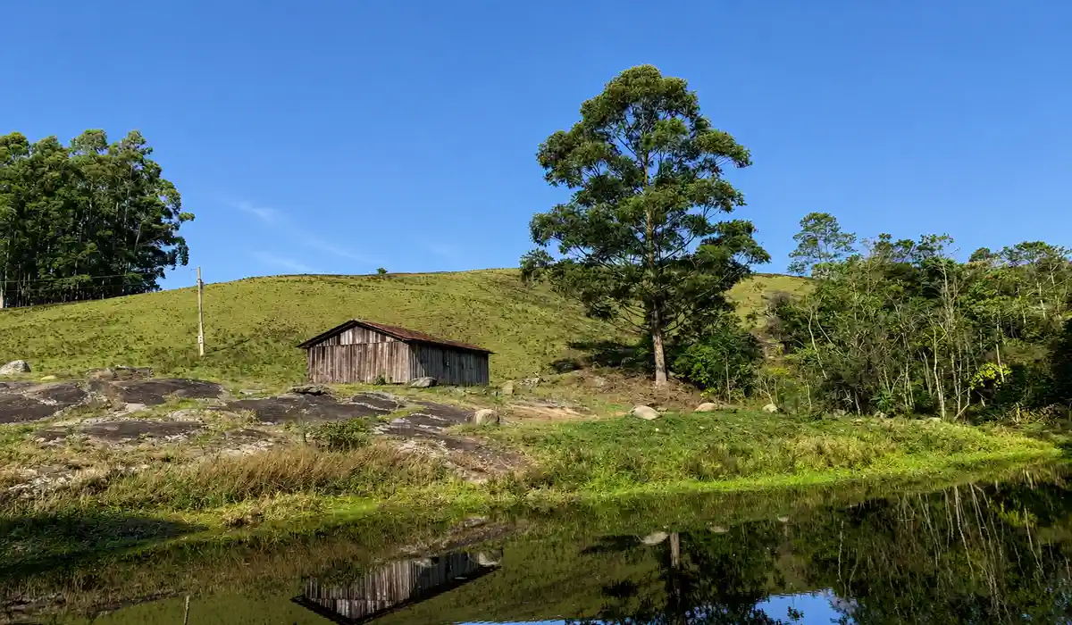 Trecho do caminho para o Cruzeiro do Forno Grande em Castelo