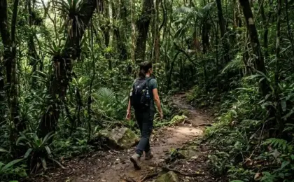 Flona de Pacotuba tem trilha gratuita para sentir a floresta