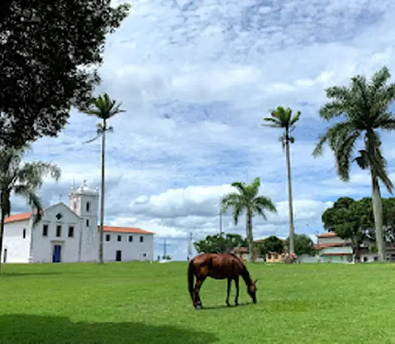 Igreja e Residência dos Reis Magos: como visitar