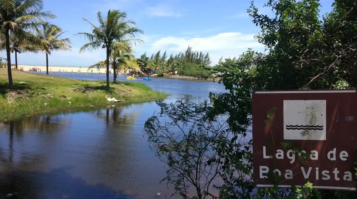 Vegetação e manguezal no entorno da Lagoa de Boa Vista