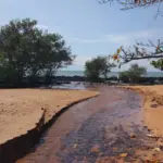 Manguinhos Serra ES,
