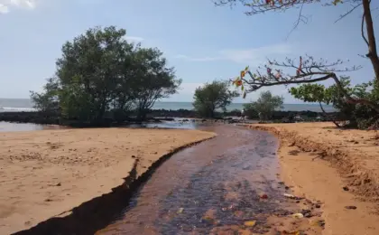 Manguinhos Serra ES,