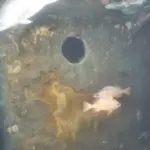 Naufrágio do Quest é filmado por submersível que foi ao Titanic