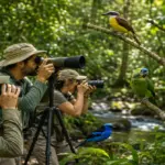 Observação de aves no Espírito Santo: 6 lugares