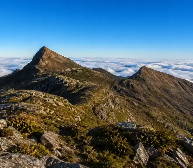 Pico do Cristal: como funciona a visita no Caparaó