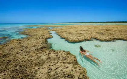 Praia de São Miguel dos Milagres: o paraíso tranquilo do Nordeste que parece cenário de filme 19 Praia de São Miguel dos Milagres
