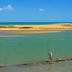 Praias de Linhares: Regência, Povoação ou Pontal