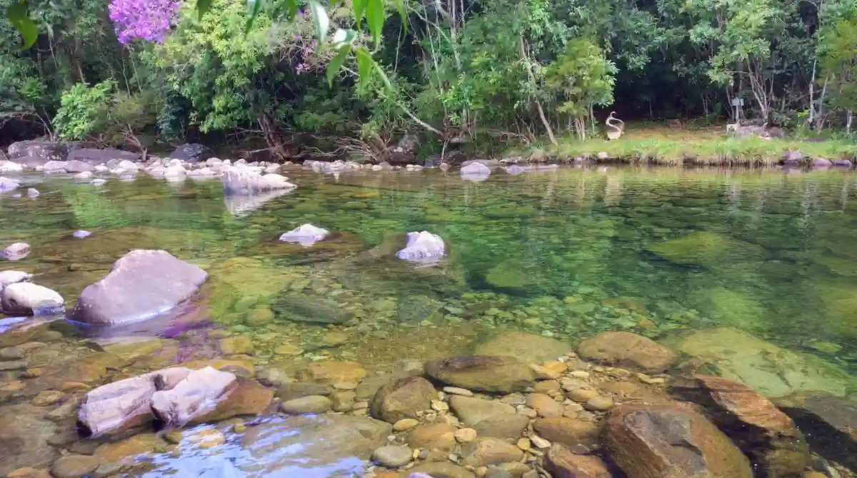 Vegetação nas margens da Prainha de Pedra Roxa em Ibitirama