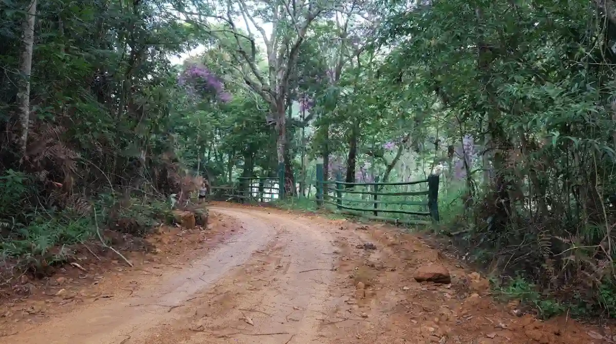 Prainha de Pedra Roxa, também conhecida como Poço da Prainha, em Ibitirama
