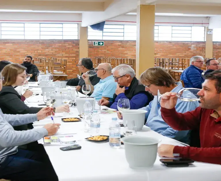 Seleção de Vinhos de Farroupilha
