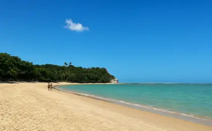 O que fazer em Trancoso em 1 dia: roteiro para não perder o melhor da vila 7 Veja o que fazer em Trancoso em 1 dia