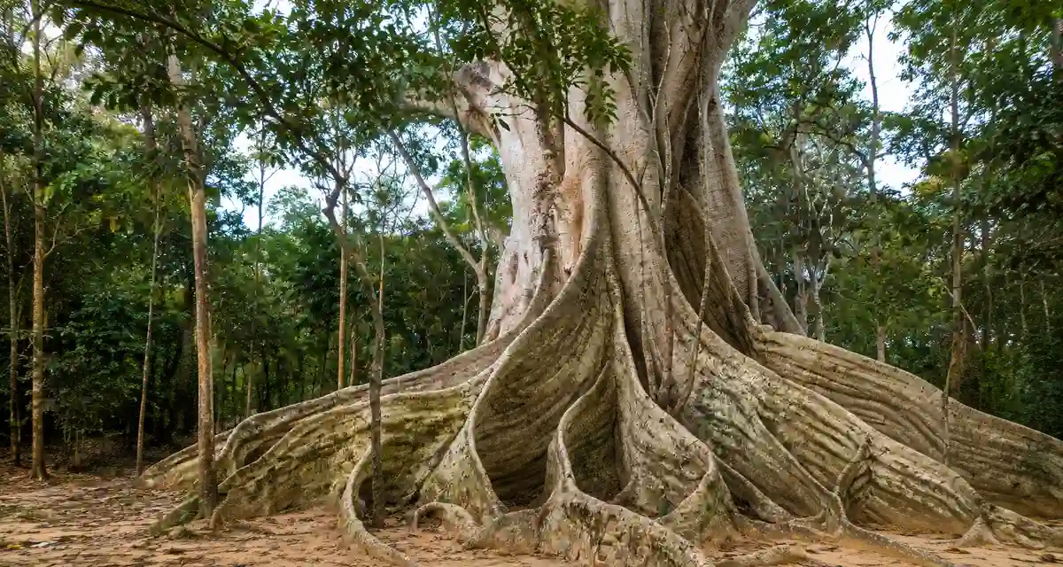 Nova Venécia com formações rochosas e paisagem do norte do Espírito Santo