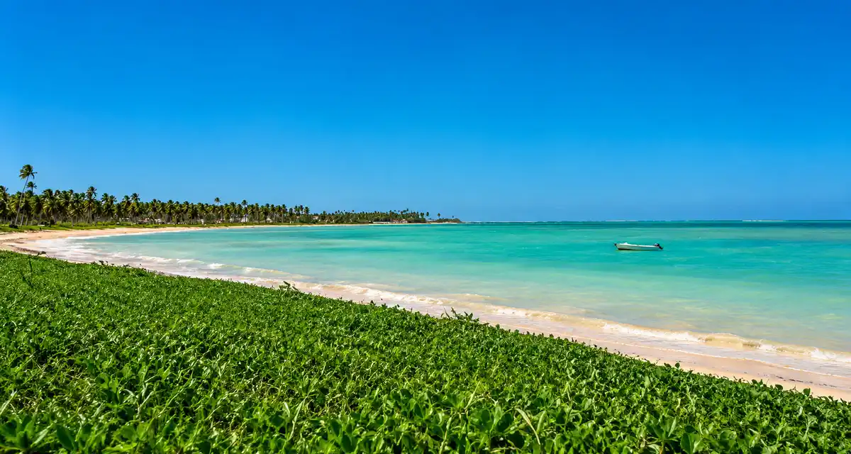 Praia de Lages em Porto de Pedras com coqueiros, areia clara e mar tranquilo