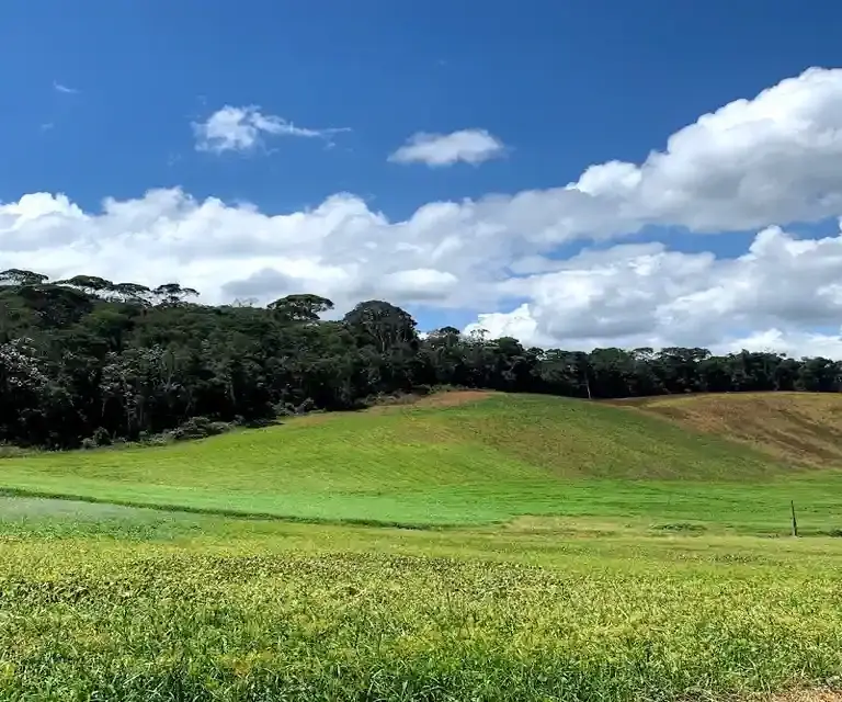 Rota do Carmo Pedra Azul