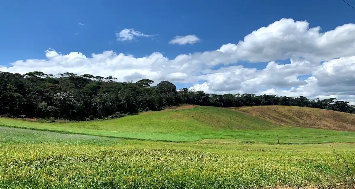 Paisagem rural verde na Rota do Carmo em Pedra Azul